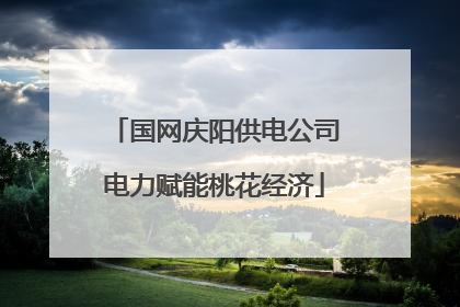 国网庆阳供电公司电力赋能桃花经济