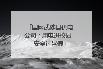 国网武陟县供电公司：用电进校园  安全过暑假