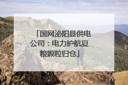 国网泌阳县供电公司：电力护航夏粮颗粒归仓