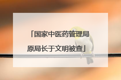 国家中医药管理局原局长于文明被查