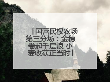 国营民权农场第三分场：金穗卷起千层浪 小麦收获正当时