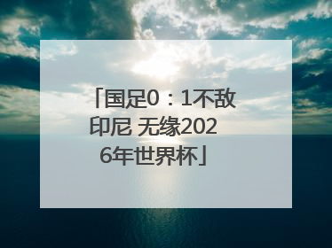 国足0：1不敌印尼 无缘2026年世界杯