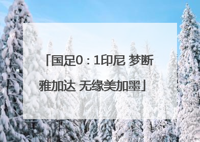 国足0∶1印尼 梦断雅加达 无缘美加墨