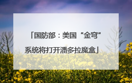国防部：美国“金穹”系统将打开潘多拉魔盒