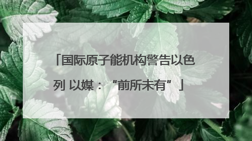 国际原子能机构警告以色列 以媒：“前所未有”