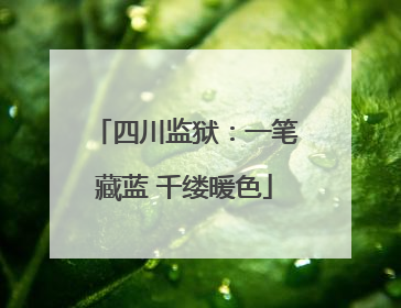 四川监狱：一笔藏蓝 千缕暖色