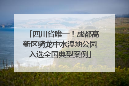 四川省唯一！成都高新区骑龙中水湿地公园入选全国典型案例