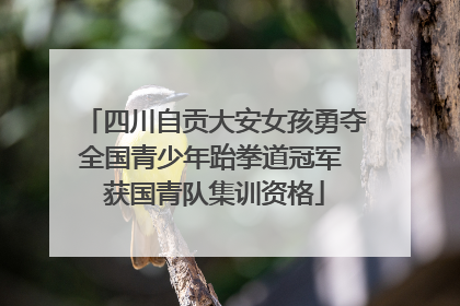 四川自贡大安女孩勇夺全国青少年跆拳道冠军 获国青队集训资格