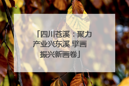 四川苍溪：聚力产业兴东溪 擘画振兴新画卷