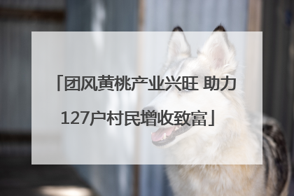团风黄桃产业兴旺 助力127户村民增收致富