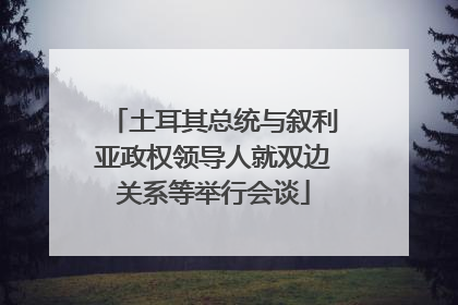 土耳其总统与叙利亚政权领导人就双边关系等举行会谈