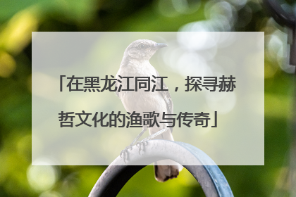 在黑龙江同江，探寻赫哲文化的渔歌与传奇