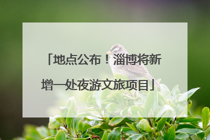 地点公布！淄博将新增一处夜游文旅项目