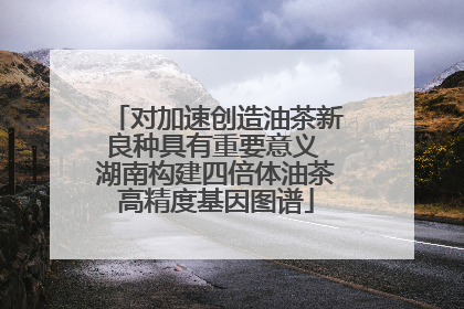 对加速创造油茶新良种具有重要意义 湖南构建四倍体油茶高精度基因图谱