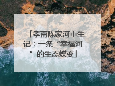 孝南陈家河重生记：一条“幸福河”的生态蝶变