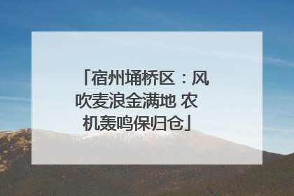 宿州埇桥区：风吹麦浪金满地 农机轰鸣保归仓