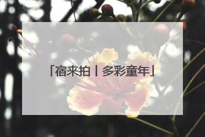 宿来拍丨多彩童年