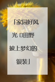 家园好风光 ⎮田野披上梦幻的银装