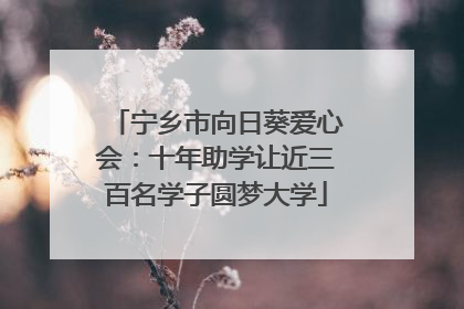 宁乡市向日葵爱心会：十年助学让近三百名学子圆梦大学