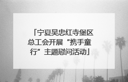 宁夏吴忠红寺堡区总工会开展“携手童行”主题慰问活动