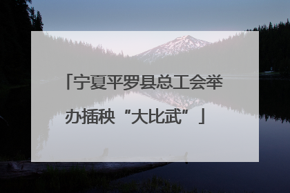 宁夏平罗县总工会举办插秧“大比武”