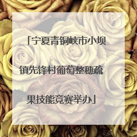 宁夏青铜峡市小坝镇先锋村葡萄整穗疏果技能竞赛举办
