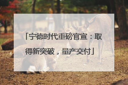 宁德时代重磅官宣：取得新突破，量产交付