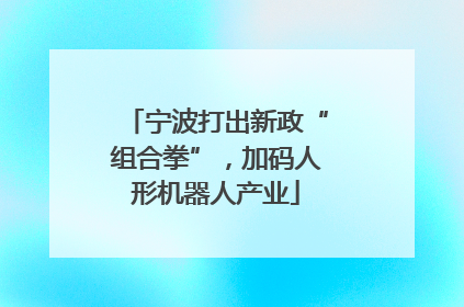 宁波打出新政“组合拳”，加码人形机器人产业