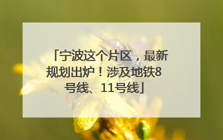宁波这个片区，最新规划出炉！涉及地铁8号线、11号线