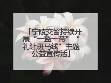 宁陵交警持续开展“一盔一带”“礼让斑马线”主题公益宣传活