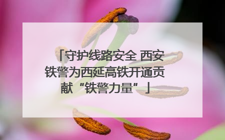 守护线路安全 西安铁警为西延高铁开通贡献“铁警力量”