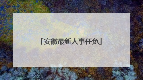 安徽最新人事任免