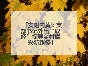 安阳内黄：支部书记外出“取经”探寻乡村振兴新路径