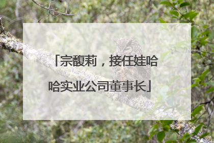 宗馥莉，接任娃哈哈实业公司董事长