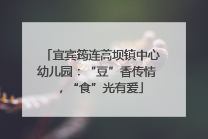 宜宾筠连蒿坝镇中心幼儿园：“豆”香传情，“食”光有爱
