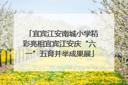 宜宾江安南城小学精彩亮相宜宾江安庆“六一”五育并举成果展