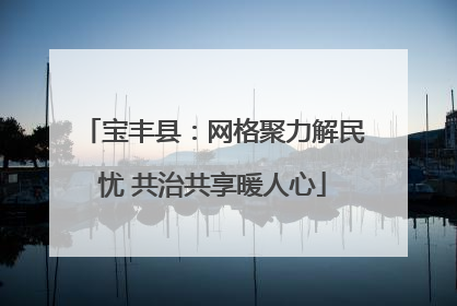 宝丰县：网格聚力解民忧 共治共享暖人心
