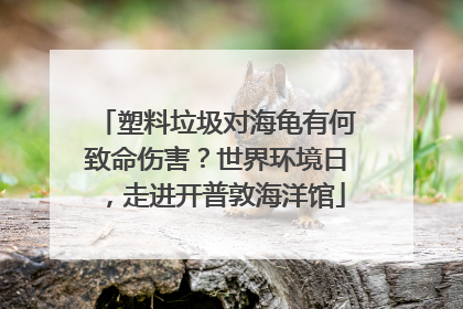 塑料垃圾对海龟有何致命伤害？世界环境日，走进开普敦海洋馆