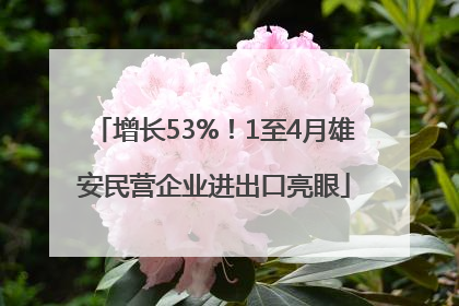增长53%！1至4月雄安民营企业进出口亮眼