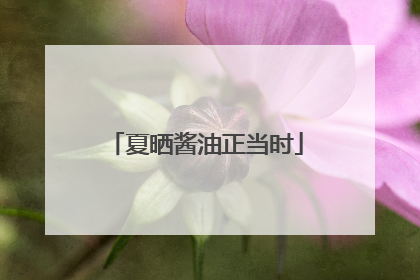 夏晒酱油正当时