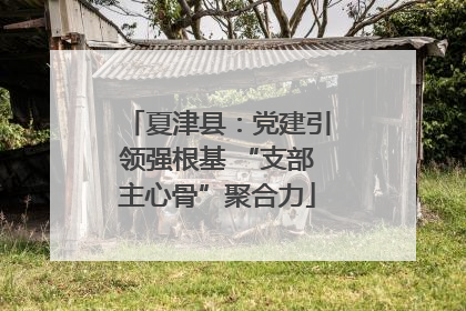 夏津县：党建引领强根基 “支部主心骨”聚合力