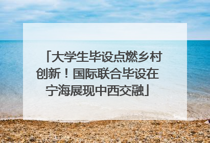 大学生毕设点燃乡村创新！国际联合毕设在宁海展现中西交融