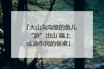 大山沟沟里的鱼儿 “游”出山 端上成渝市民的餐桌