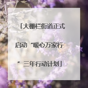 大栅栏街道正式启动“暖心万家行”三年行动计划