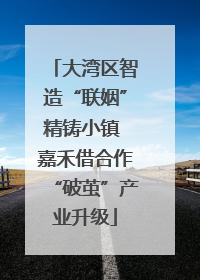大湾区智造“联姻”精铸小镇 嘉禾借合作“破茧”产业升级