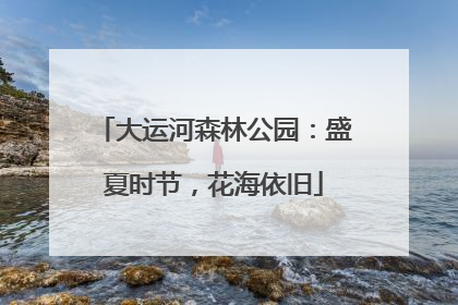 大运河森林公园：盛夏时节，花海依旧