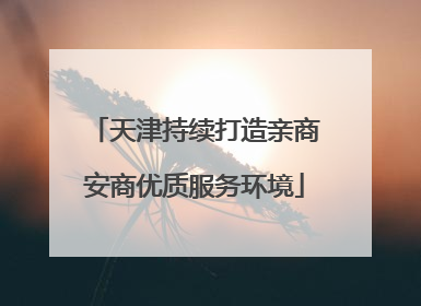 天津持续打造亲商安商优质服务环境