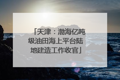 天津：渤海亿吨级油田海上平台陆地建造工作收官