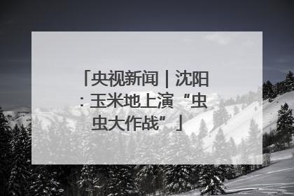 央视新闻｜沈阳：玉米地上演“虫虫大作战”
