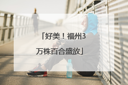 好美！福州3万株百合盛放